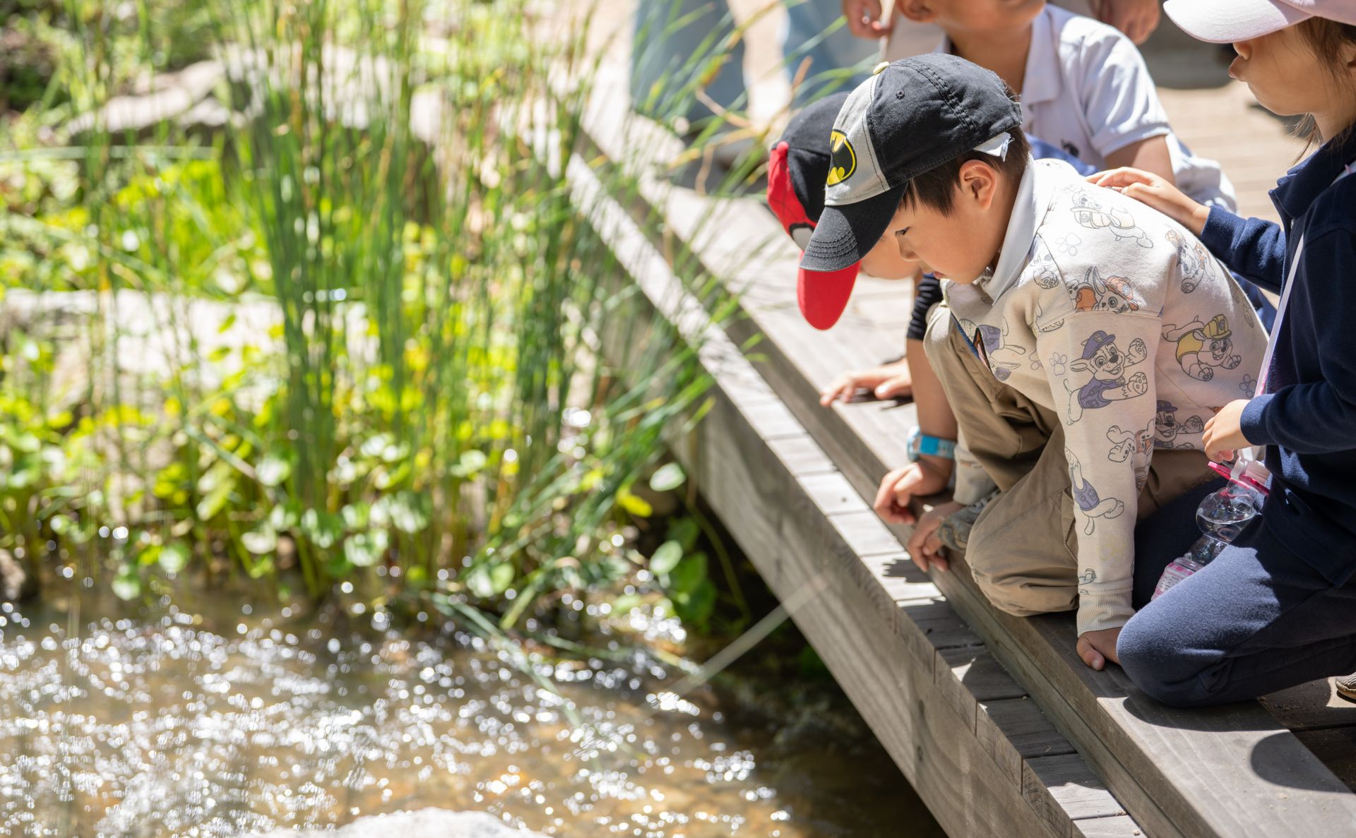 Children lean over a wooden bridge, looking down into a pond surrounded by tall grasses and plants.