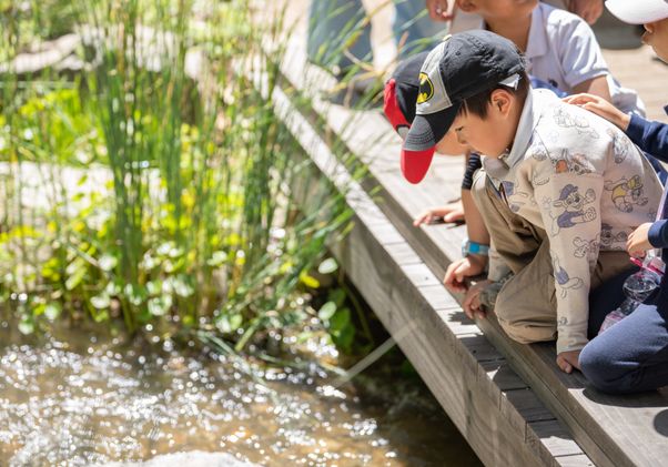Children lean over a wooden bridge, looking down into a pond surrounded by tall grasses and plants.