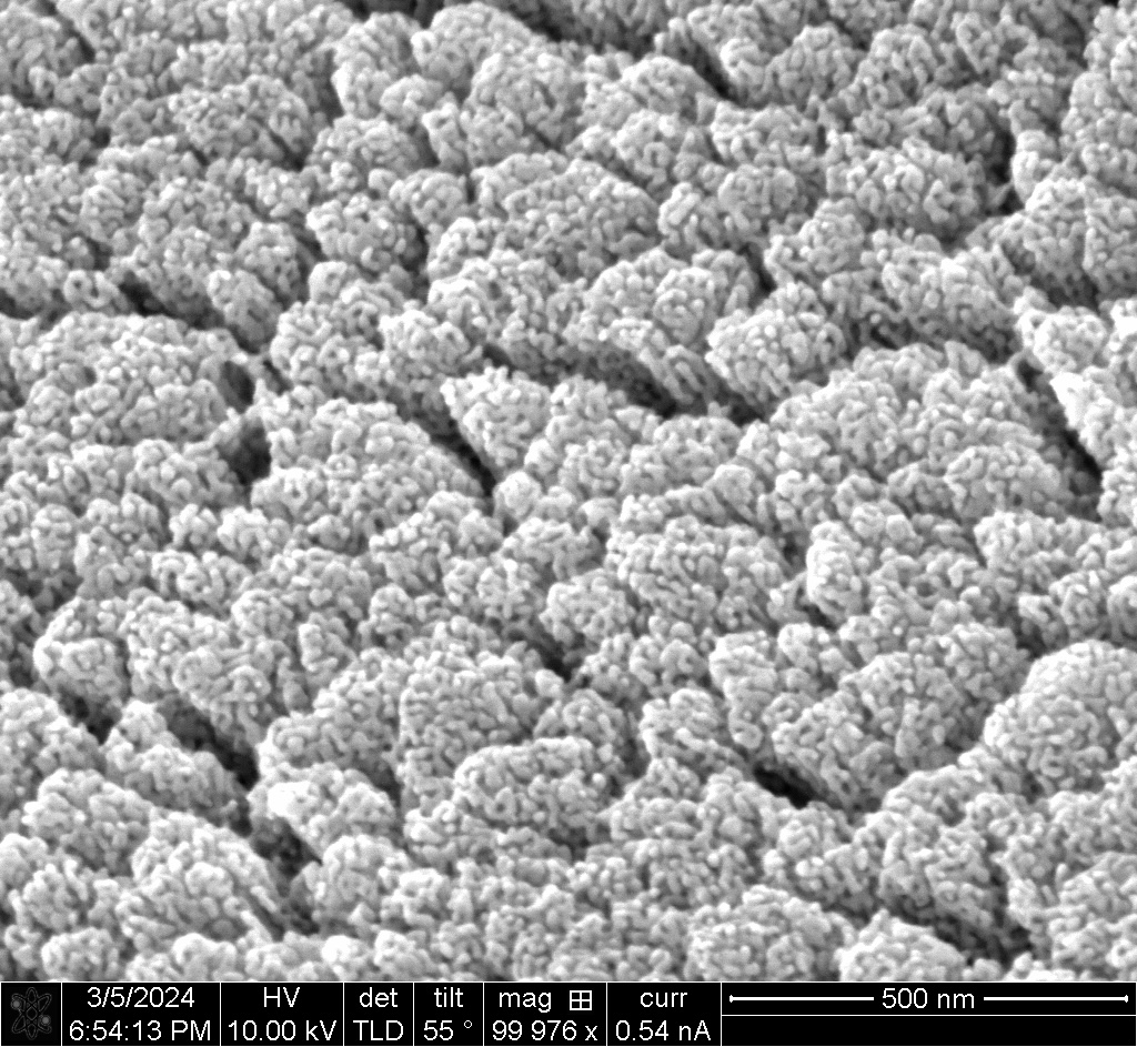 Black-and-white microscopic photo of cavities on microneedle.