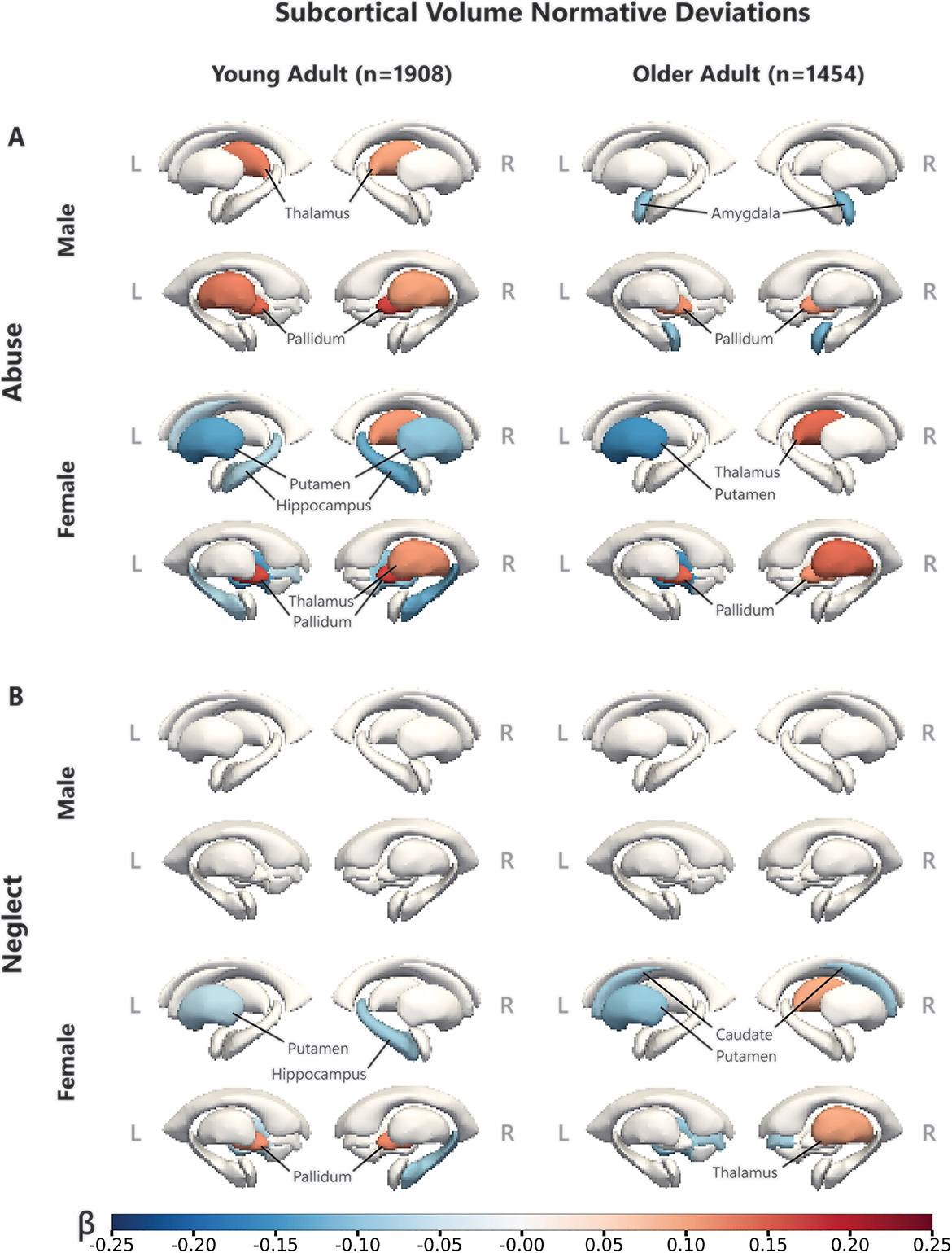 Comparison in subcortical volume and surface area in the brains of people who had experienced childhood maltreatment vs. neglect.