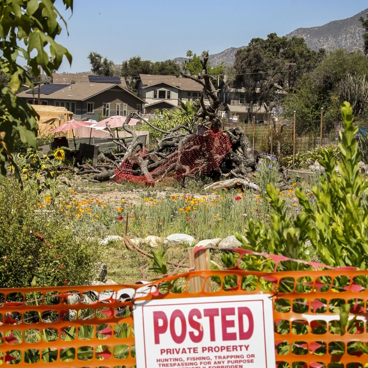 After the Eaton Fire, residents face growing fears over toxic contamination — and more UCLA media
