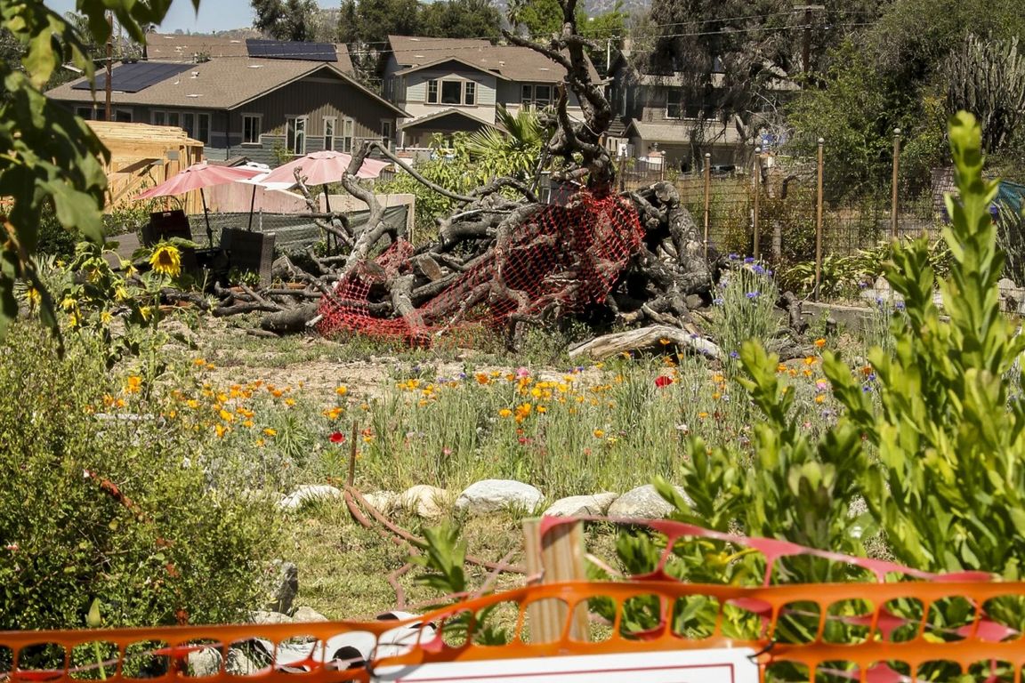 An orange safety fence and “Posted Private Property” sign stand in front of a burned and fallen tree in a residential area, with mountains visible in the background.