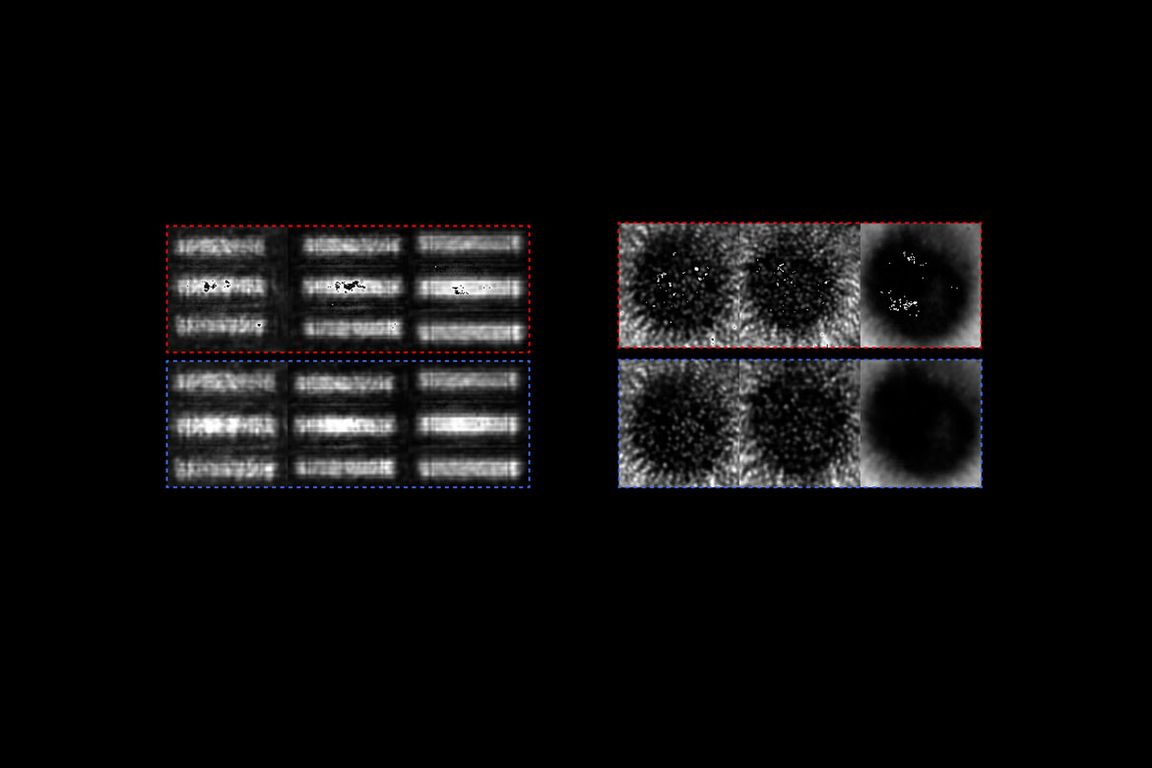 DeepTimeGate improves optical imaging through scattering media
