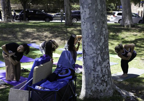 Four Bruins practice yoga on colorful mats beneath trees during the Day of Hope mental health and wellness event on the UCLA campus lawn.