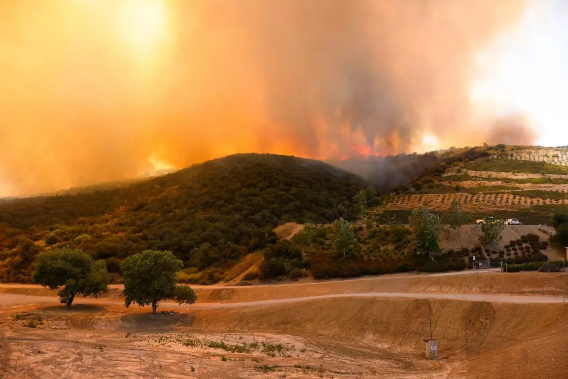 A wildfire burns across a hillside landscape, sending thick smoke and orange flames into the sky above trees and terraced terrain.