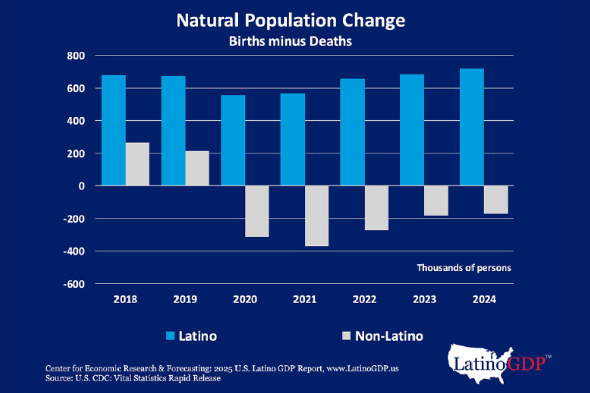 Blue and gray bar graph showing Latino and non-Latino natural population change from 2018 to 2024