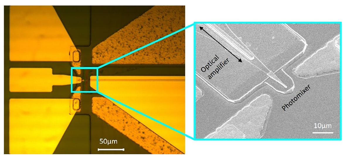 Microscope images of a terahertz photomixer chip. The left panel shows an optical microscope view of the device with gold metallic contact pads converging toward a central point, with a scale bar of 50 micrometers. The right panel is a zoomed-in scanning electron microscope (SEM) image highlighting two components.