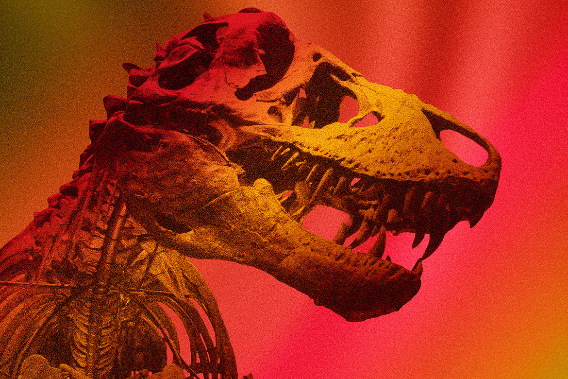 Close-up of a Tyrannosaurus rex skeleton skull in profile, showing sharp teeth and eye socket, under red and orange lighting.