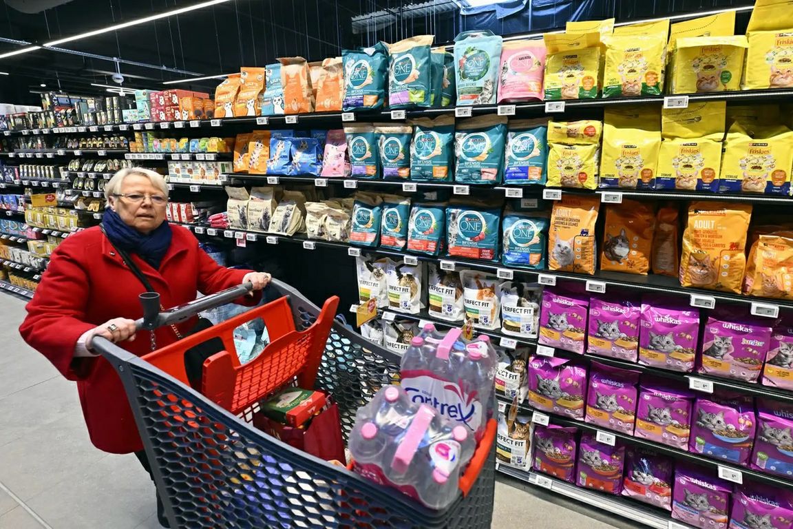 A shopper pushes a grocery cart past shelves stocked with colorful bags of cat food in a supermarket aisle.