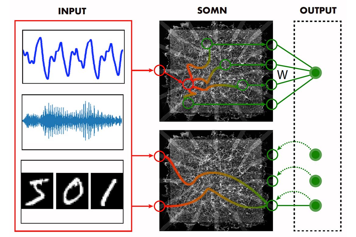 Diagram showing input signals, a self-organizing map (SOMN), weighted connections and corresponding output nodes.
