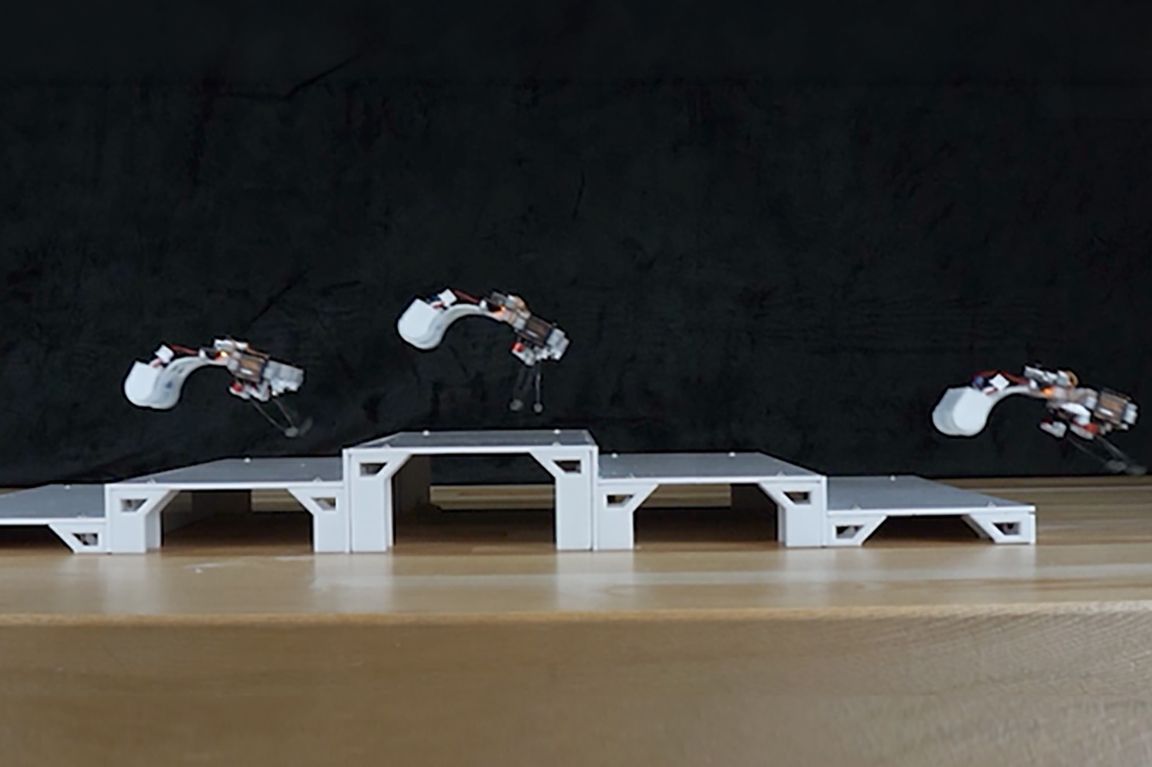 Settlement Rods Frog-Like Robot Hops Using Twisting Elastic Rods | Mirage News