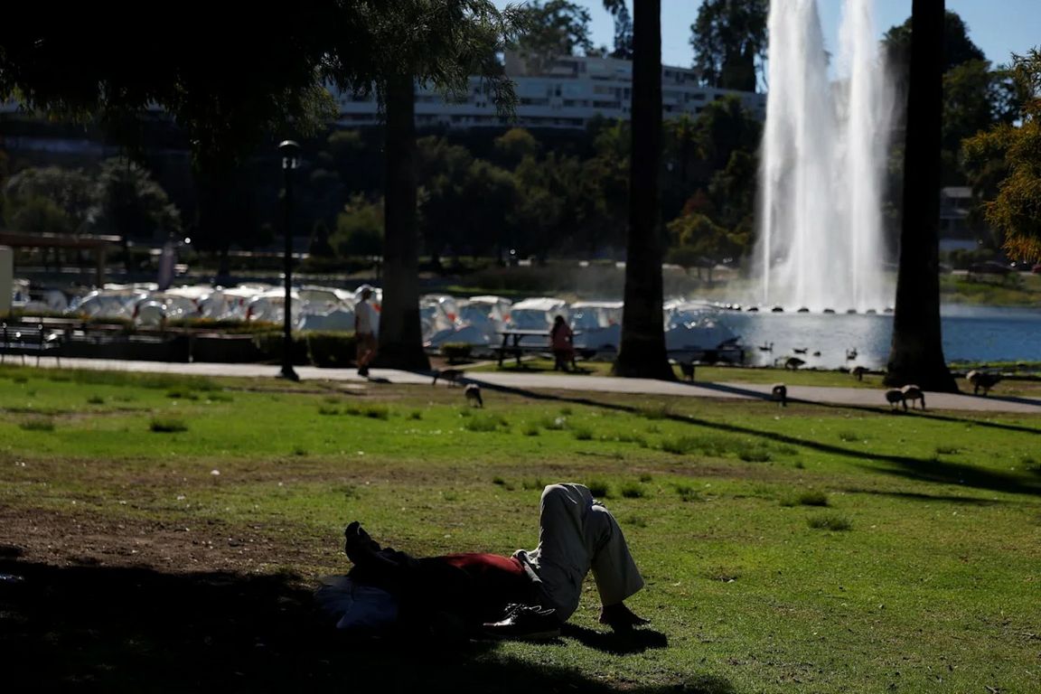 A person rests on the grass at Echo Park Lake, with palm trees, waterfowl and the lake’s fountain in the background.