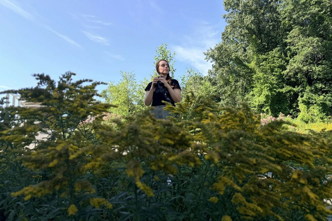 Olivia Sanderfoot stands among tall yellow wildflowers, holding binoculars and looking toward the trees in a lush, sunlit garden.