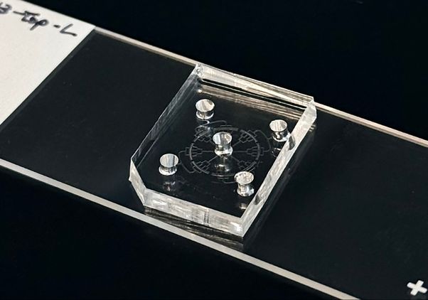 Close-up of a transparent hexagonal display containing five silver pegs around a central peg, engraved with a circular design on a black board.