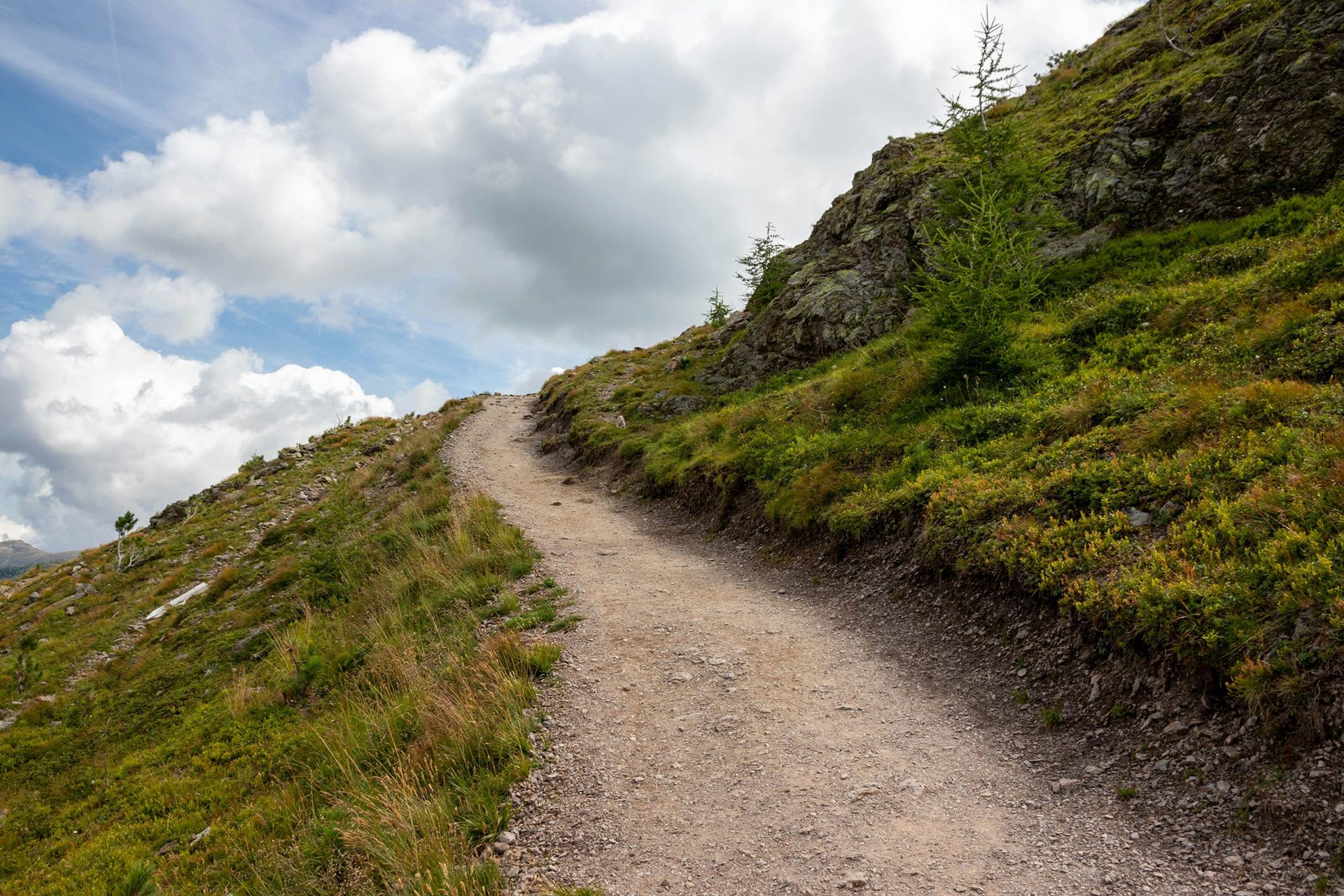 A landscape photo of a beautiful hiking trail among the Santa Monica coast. There are clouds floating in the sky and the trail is lined with bright greenery.