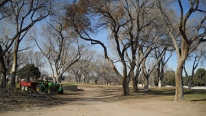 North Golf Course Eighth Hole - after trimming
