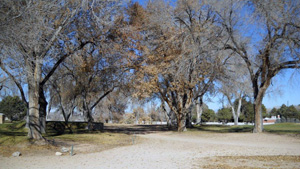 North Golf Course Eighth Hole - before trimming