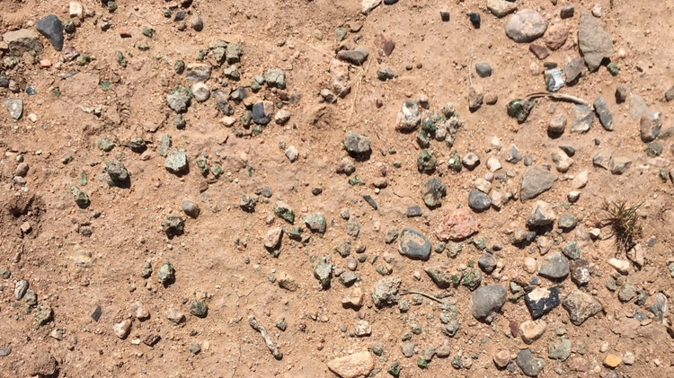 Trinity Site