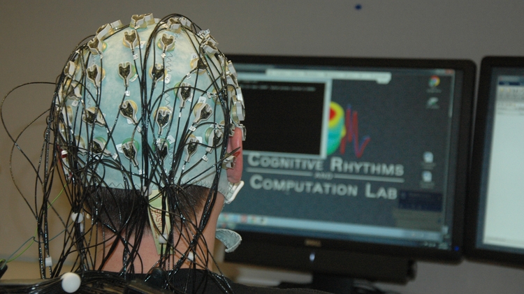 UNM researchers design patient repository for more effective EEG ...