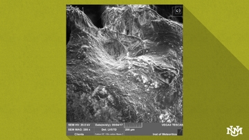Microscope Imaging
