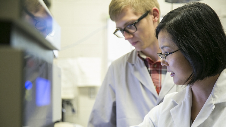 Analyzing Samples