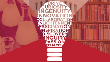 Shared knowledge conference lightbulb