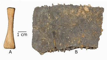 Bone sample