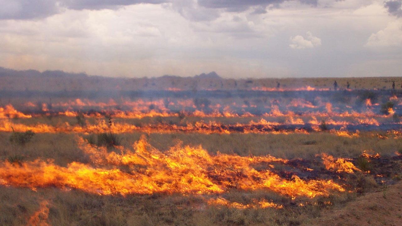 Researchers monitor vegetation