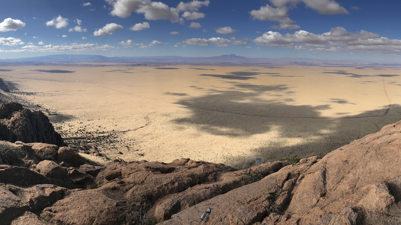 Ecosystem transitions