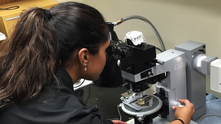 Srinivasan studies NWA 11119