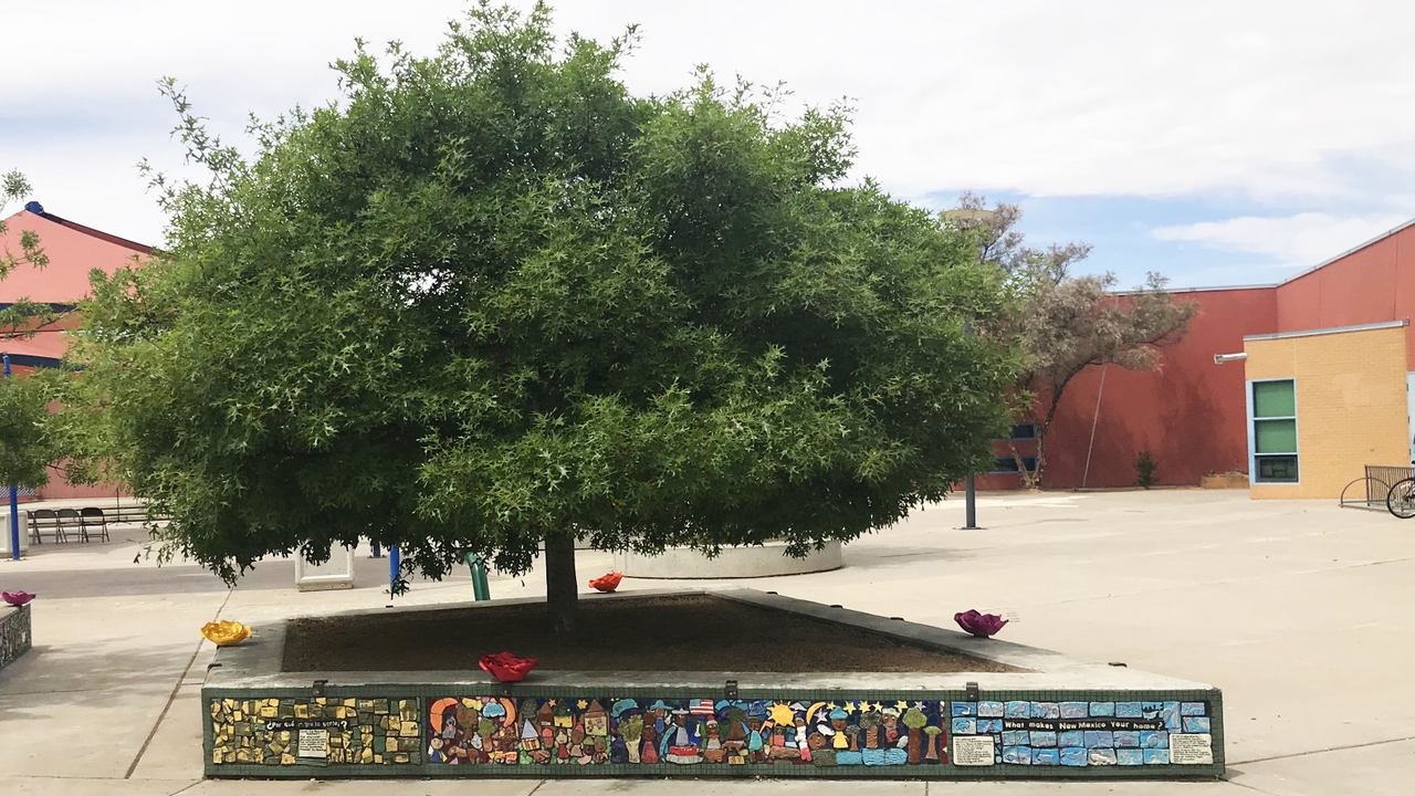 Teaching our teachers to create lasting legacies of literacy UNM Newsroom