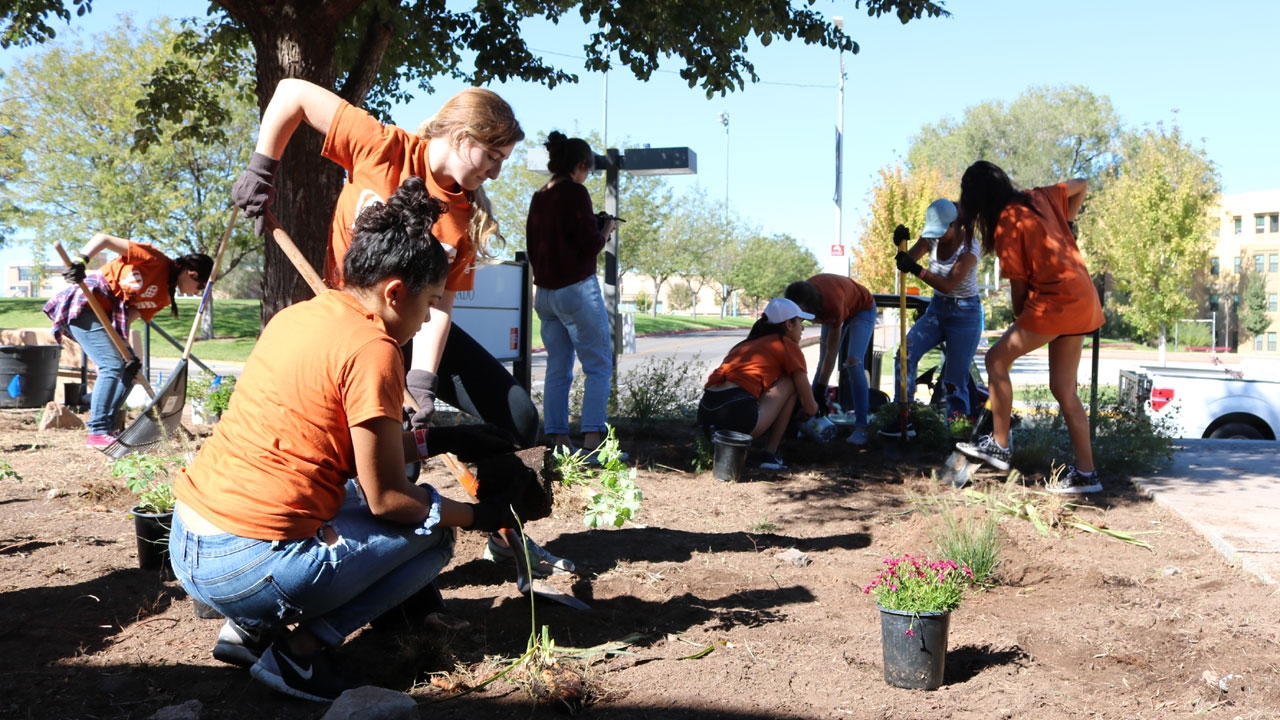 Planting shrubs around campus