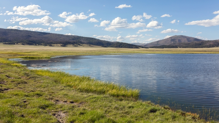 Public forums for Water Resources Program director finalists - Vimarsana News