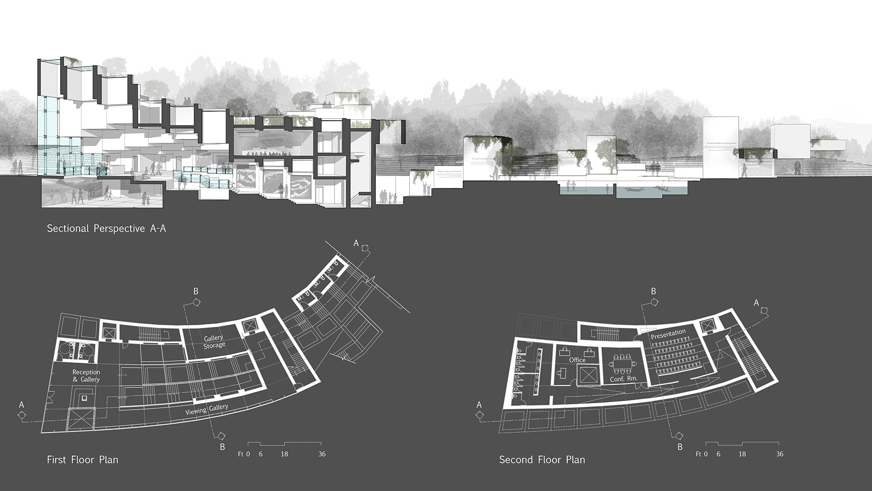 National accolade for SA&P student