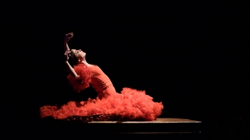 Olga Pericet, a journey through dance