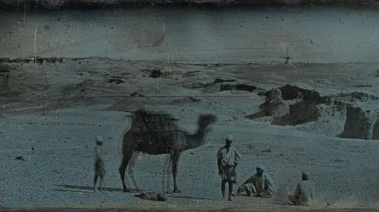 Desert near Alexandria