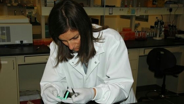 Salinas examines