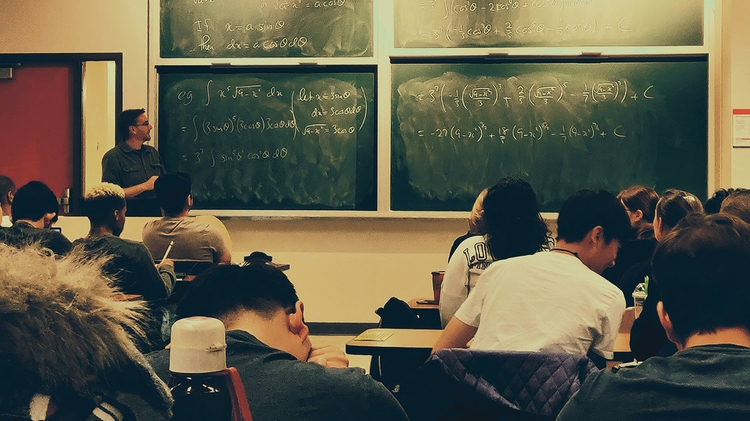 Teacher-students