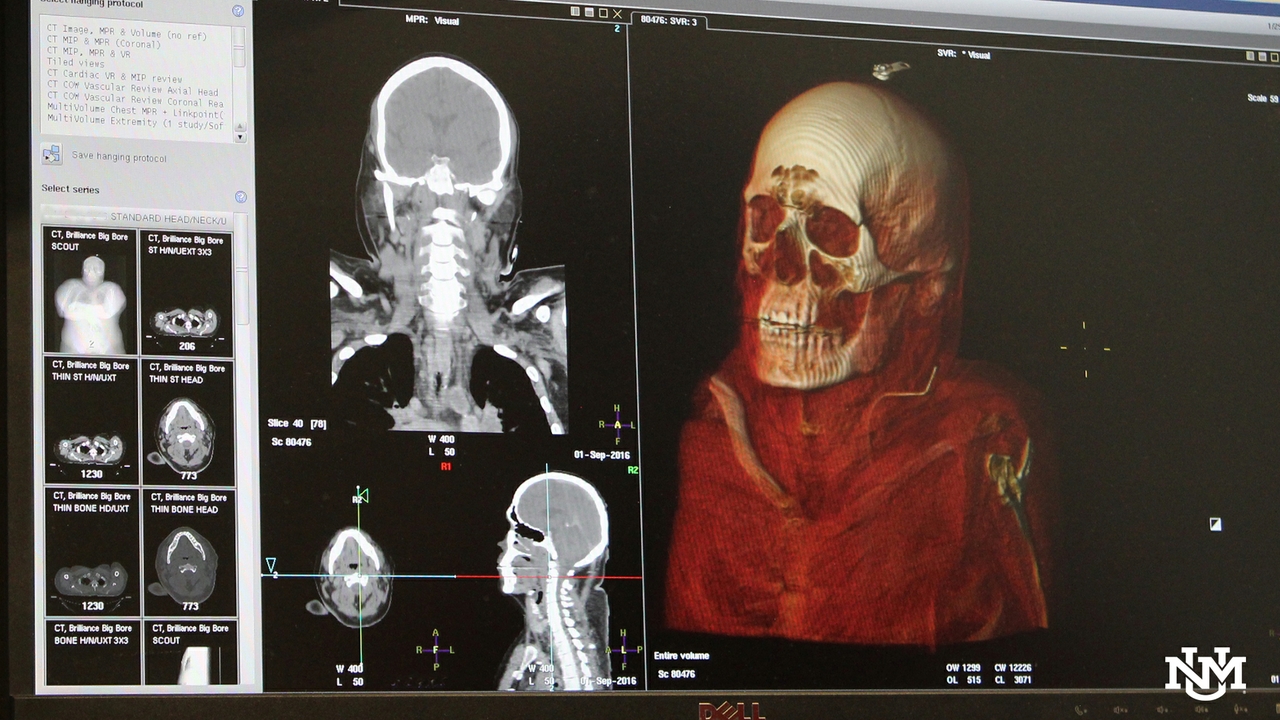 New medical investigator database website goes live UNM Newsroom