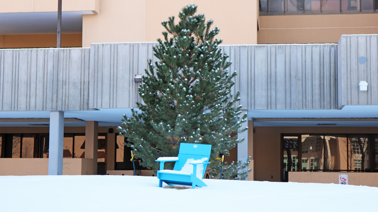 UNM Facilities Management's Winter Setback program to begin Dec. 23: UNM Newsroom - Vimarsana News