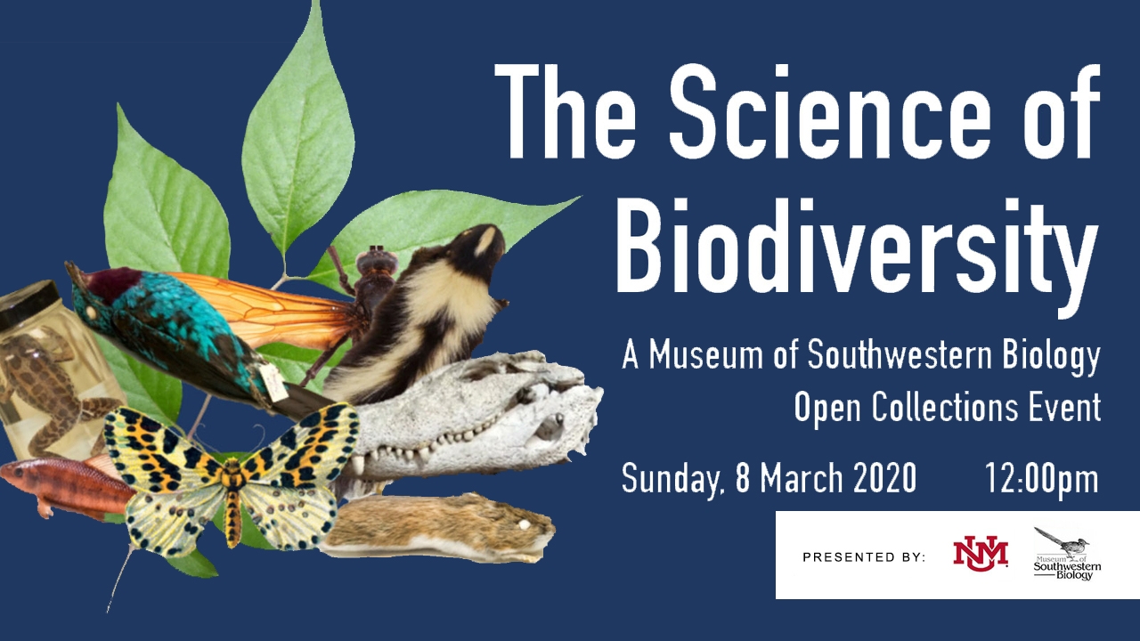 UNM’s Museum of Southwestern Biology hosts Open Collections Event on
