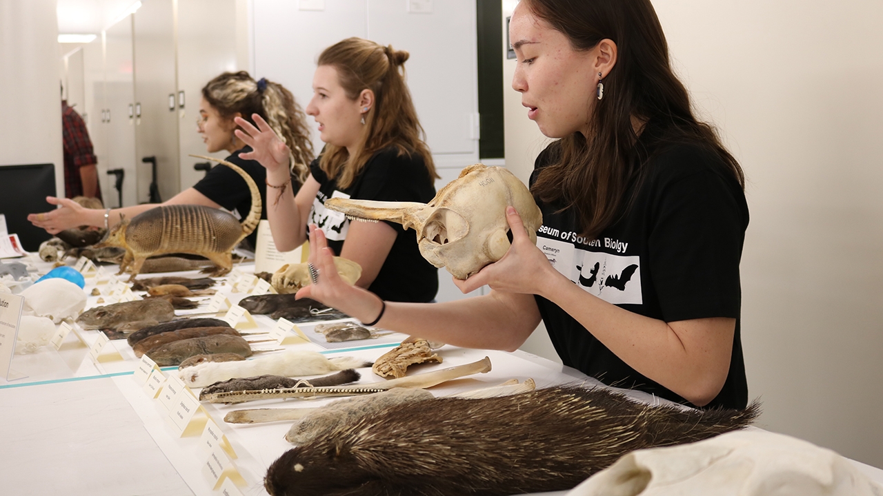 Visitors experience 'The Science of Biodiversity' at UNM's Museum of