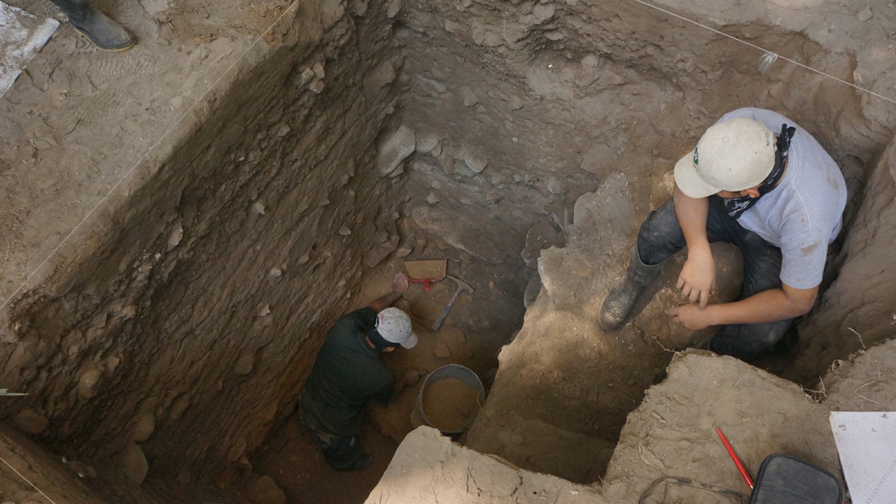 Excavating maize history