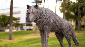 UNM implements event request process