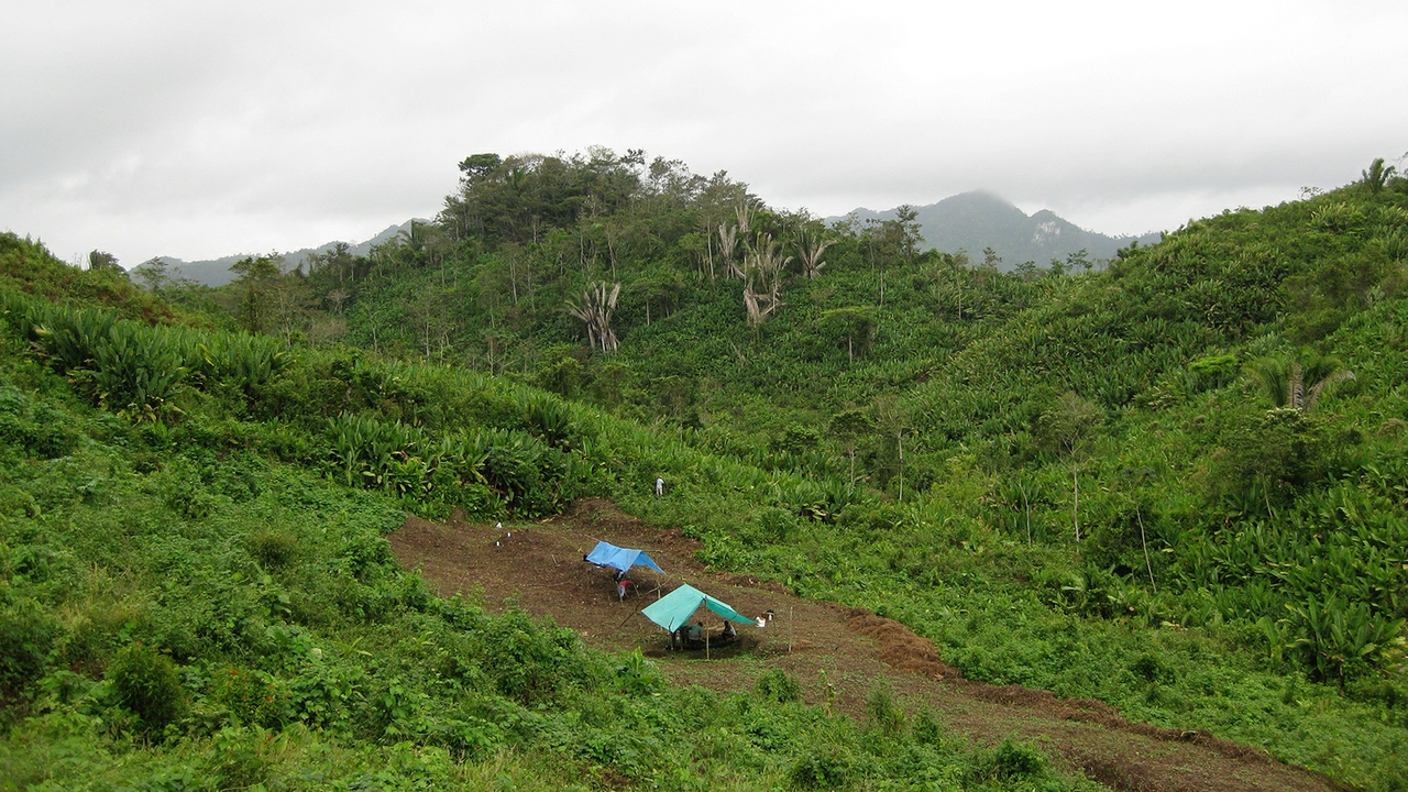 Excavation site