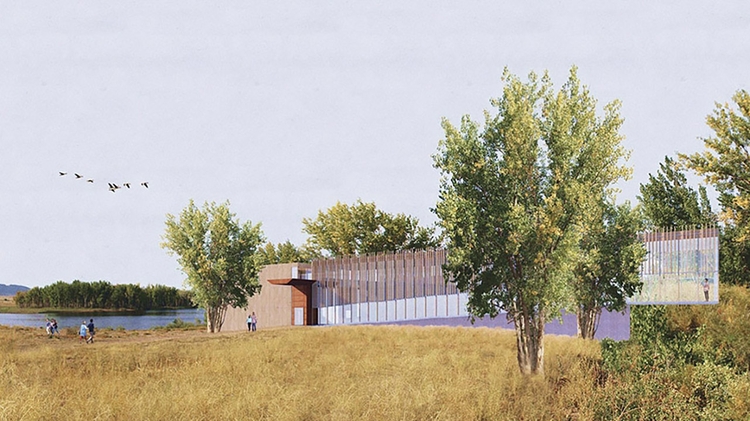 Student Winner Architecture