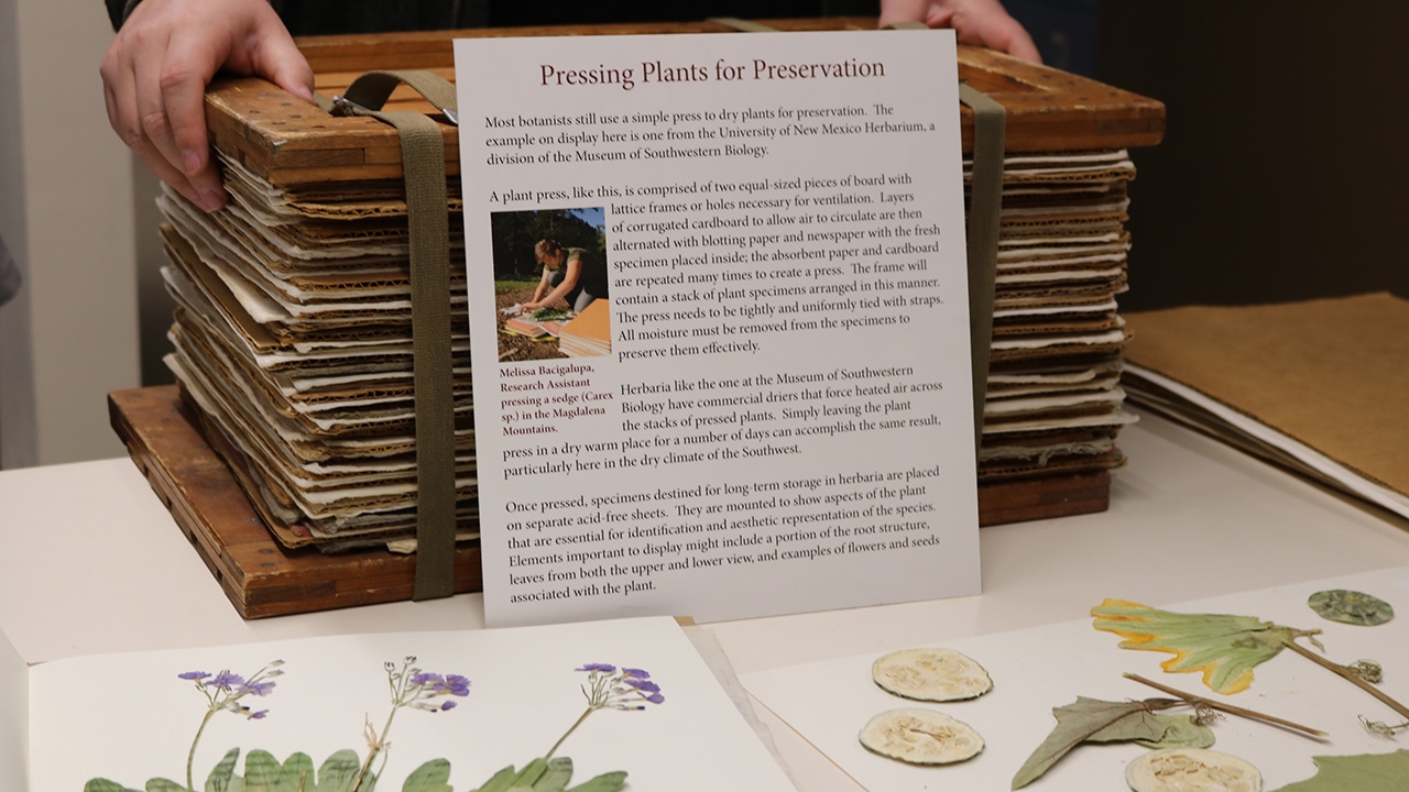 Museum of Southwestern Biology hosts evolution-themed events | UNM UCAM ...