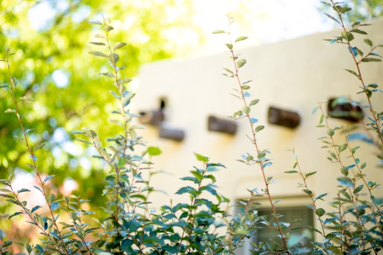 UNM Department of Geography and Environmental Studies grants its first Ph.D. : UNM Newsroom