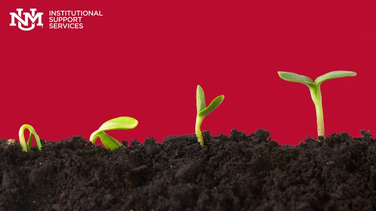 Enhancing efficiency: Key departmental changes in ISS: UNM Newsroom