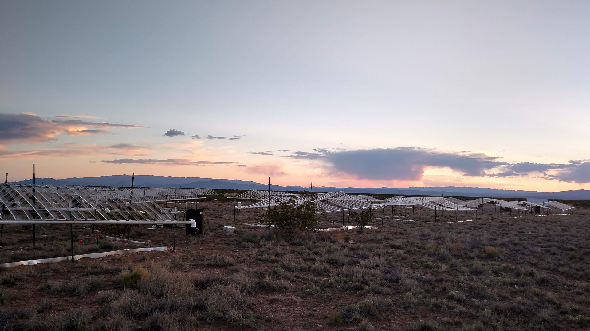 Sevilleta LTER receives renewed NSF funding for $7.65 million